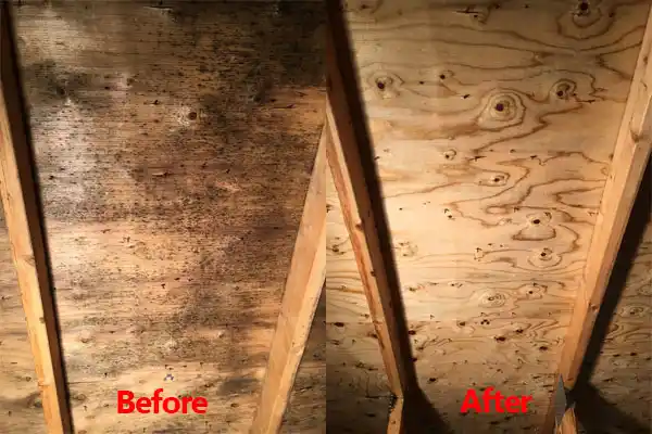 water damage restoration service Middlebush